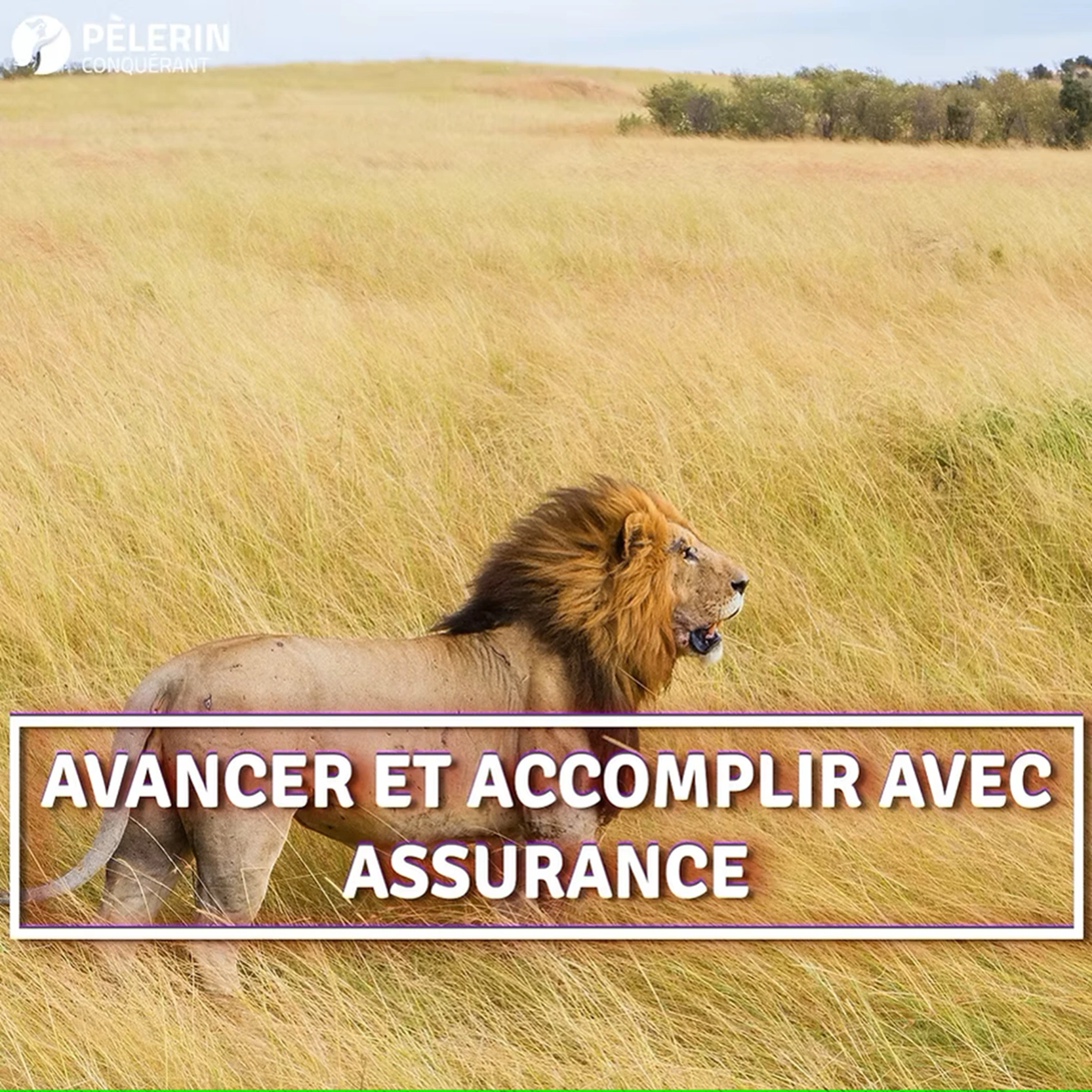 ASSURANCE clé de la conquête et de laccomplissement