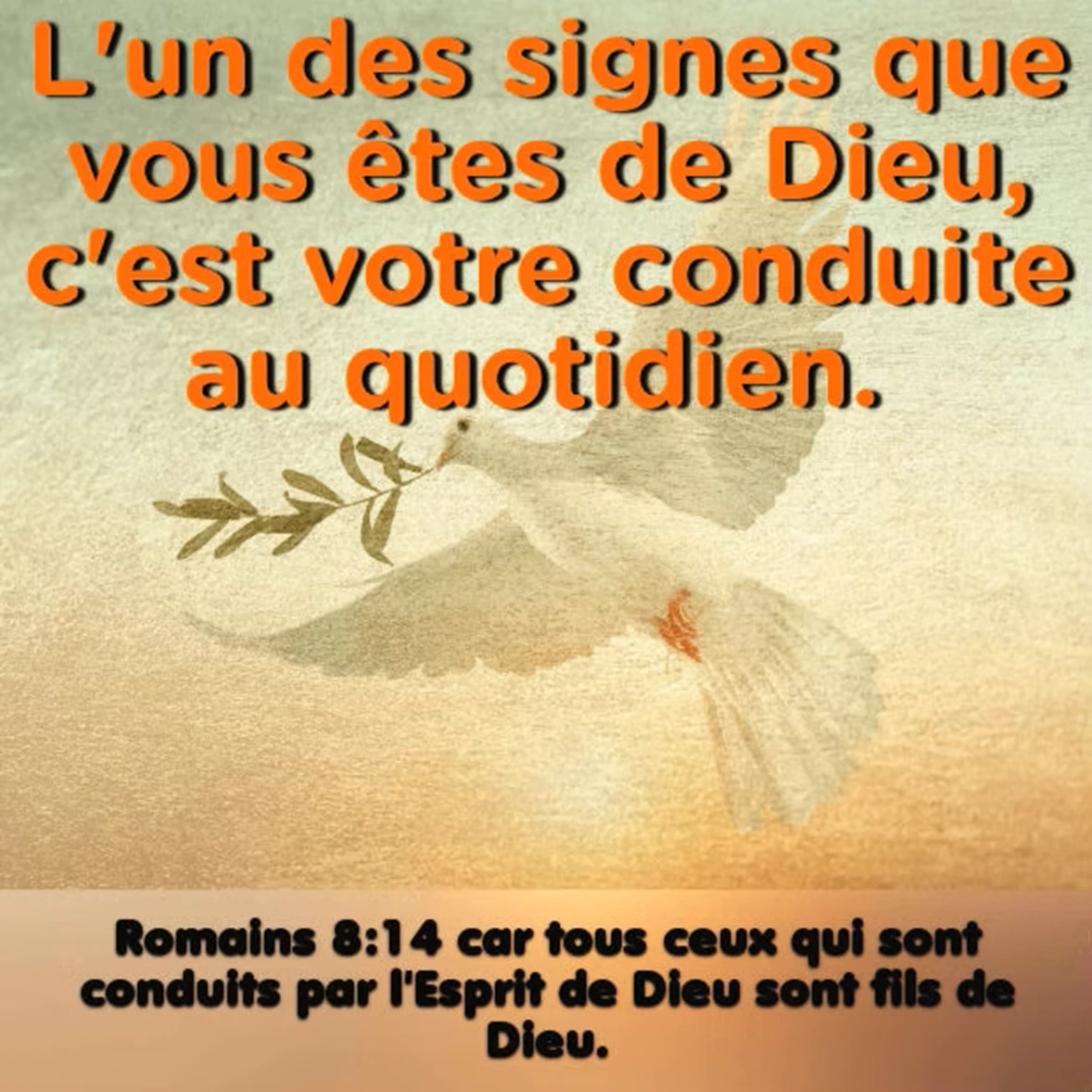 L'indispensable conduite du Saint Esprit.